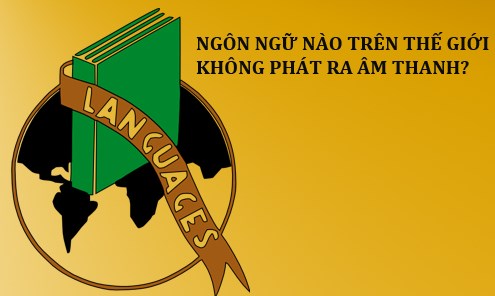 ĐÁP ÁN 20 câu đố mẹo thử tài hoạt ngôn cũ rích